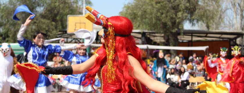 2o Medio Boreal 32 840x320