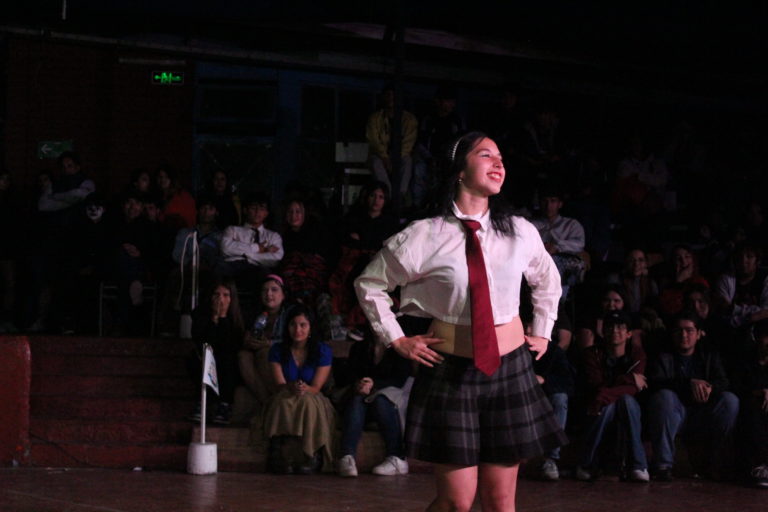 LOS FUEGOS 3o medio boreal (6)