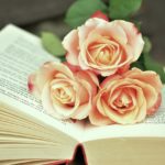 a book, book pages, read, roses, romantic, literature, pages, paper, scroll, books, books, books, books, books, books