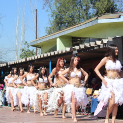 Fiesta familiar 2025 Svg+xml,%3Csvg%20xmlns%3D%22http%3A%2F%2Fwww.w3