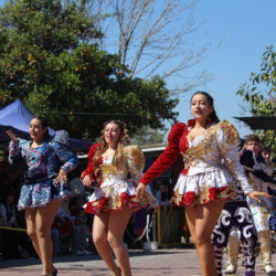 Fiesta familiar 2025 Svg+xml,%3Csvg%20xmlns%3D%22http%3A%2F%2Fwww.w3